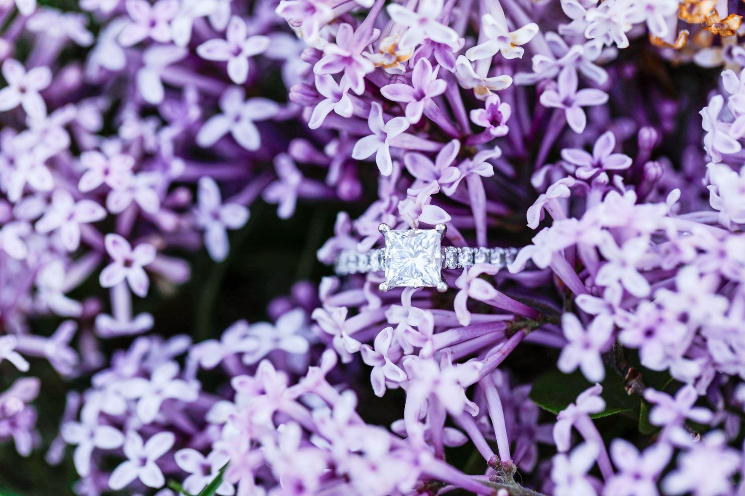 engagement ring