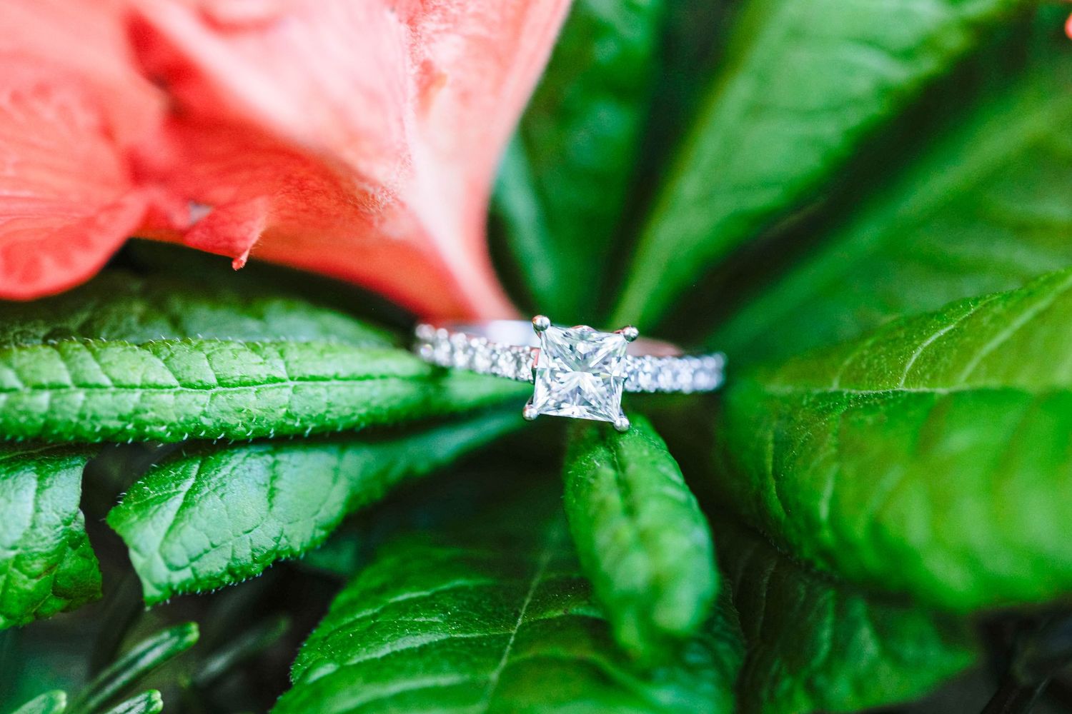 engagement ring