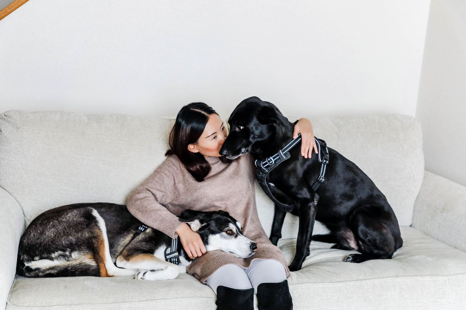Dan & Cheng family