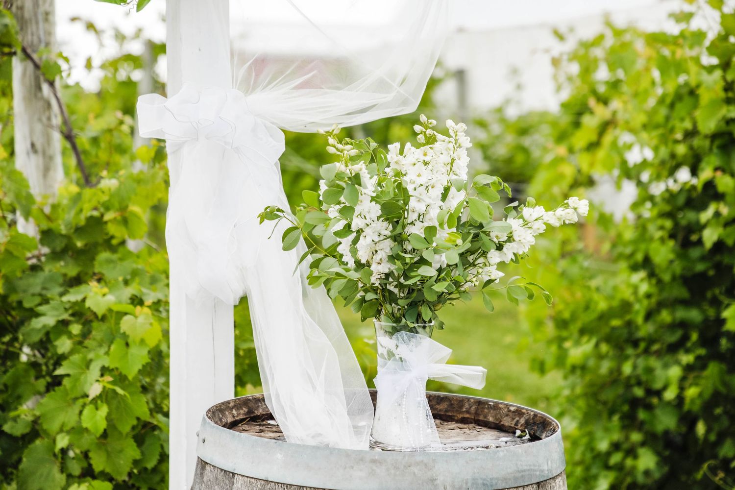 Lukas & Morgan Wedding