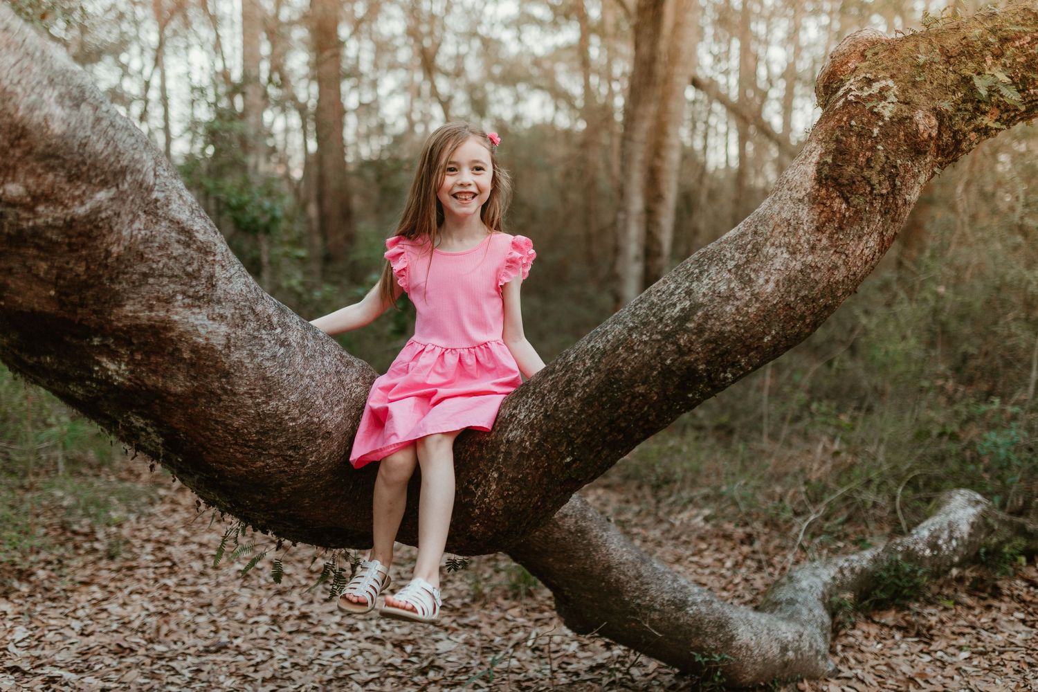 Chattanooga Family Photographer