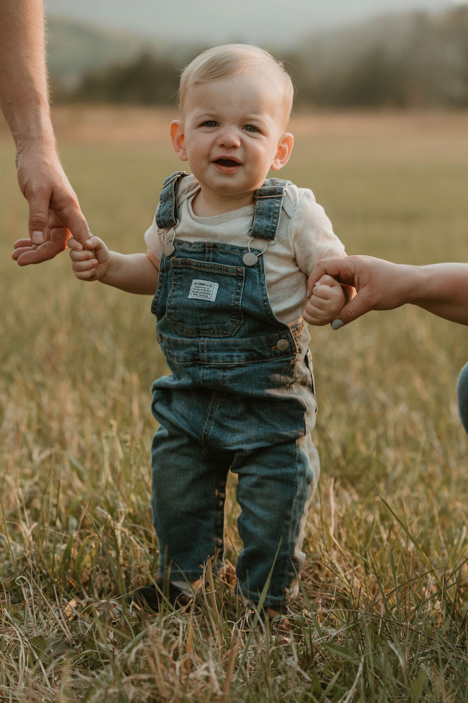 Small child in overalls takes first steps in a golden wheat field at sunset.