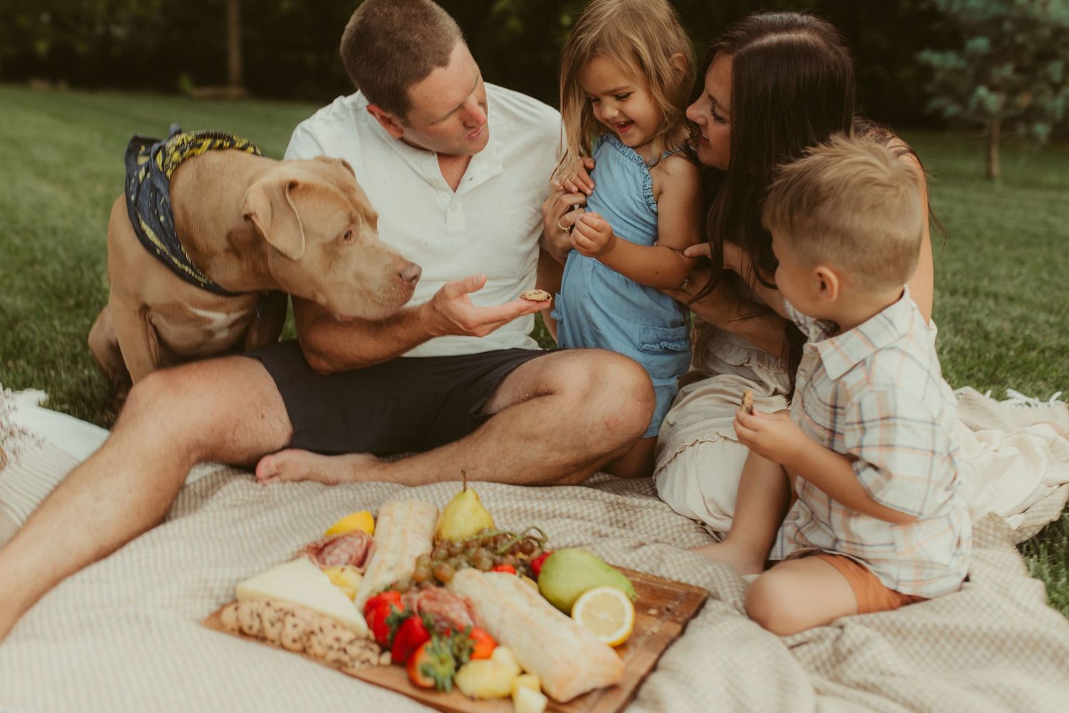 Candid shots of family sharing snacks and laughing together at picnic.