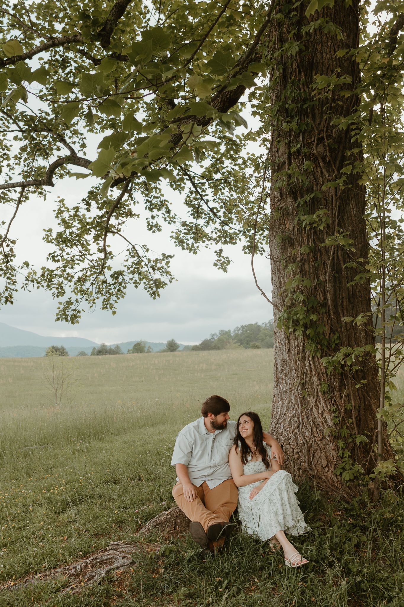 Romantic outdoor photoshoot in a grassy field under large trees with mountains in the background.