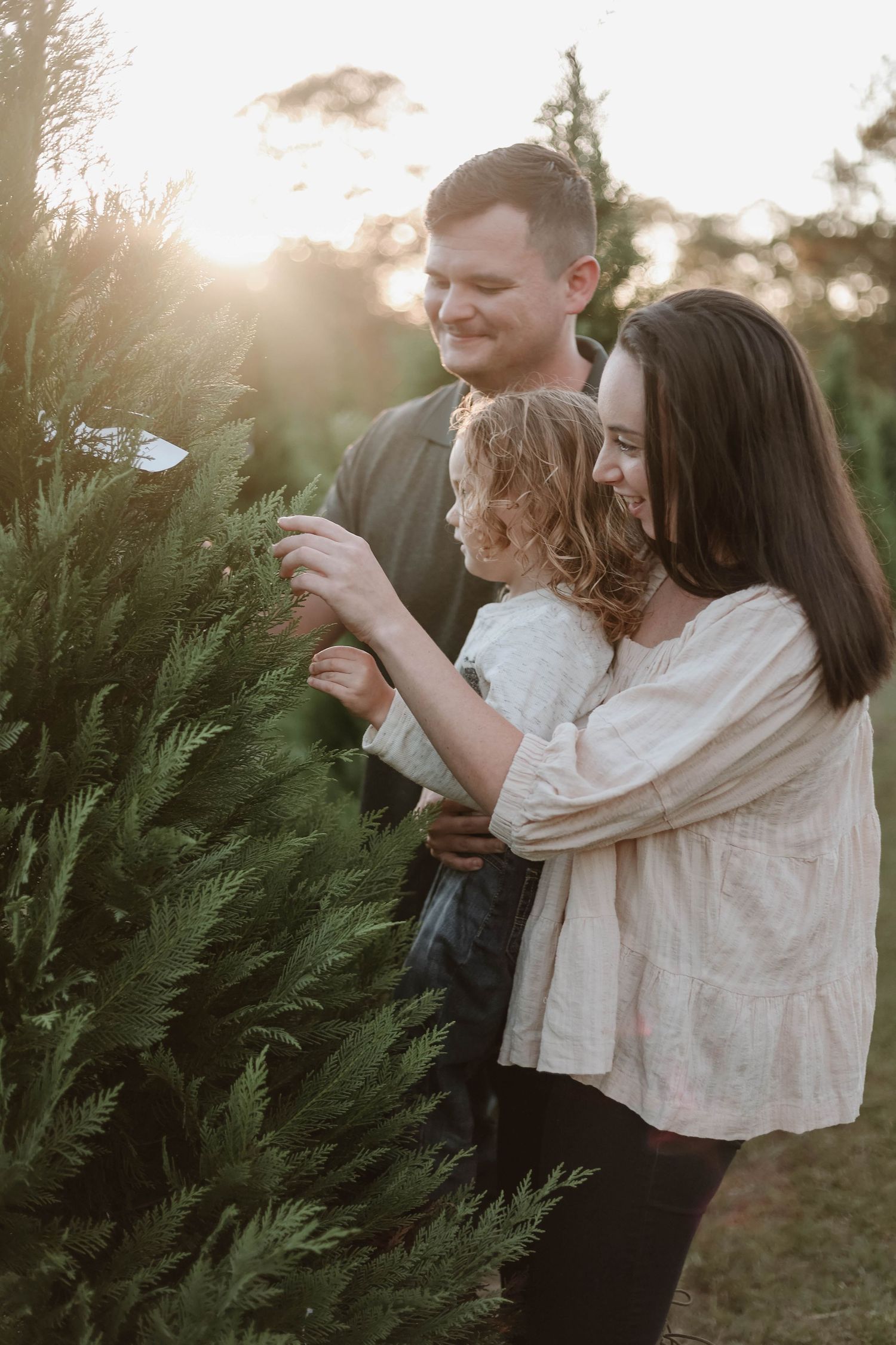 Family selecting Christmas tree together at sunset among evergreen trees.
