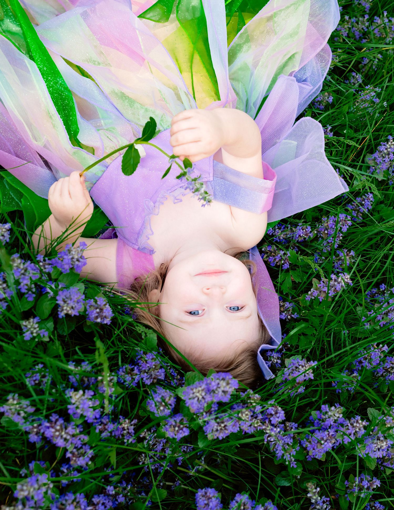 Milestone photography, Studio Photography, Smashcake, Smashcake Session, Child Portraiture, Fine Art Photography, Professional Photographer,