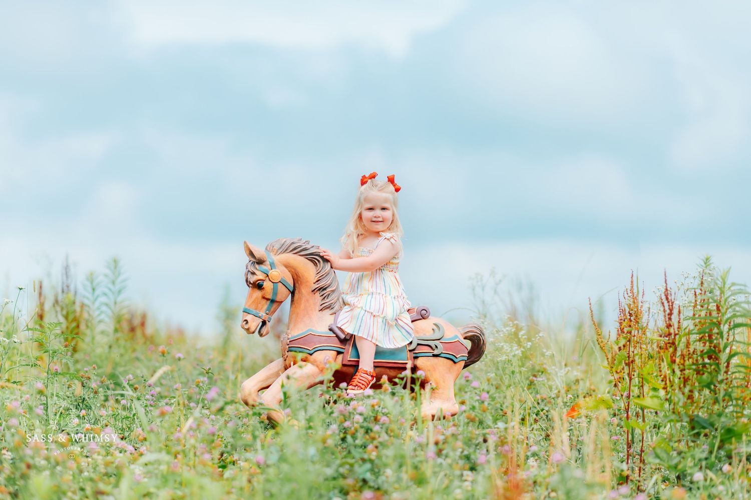 Family Photographer, Photographer, Fine Art Portraiture, Pet Photographer, Birthday Photographer, Traveling Photographer, Studio Photography