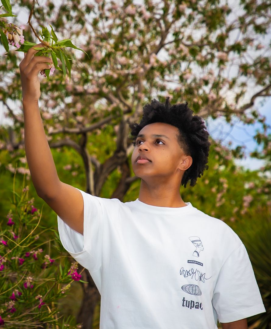 Person in white t-shirt reaching up toward tree branches in sunny outdoor setting.