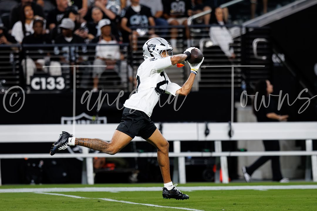 Raiders wide receiver makes a leaping catch during an NFL preseason game at Allegiant Stadium in Las Vegas.