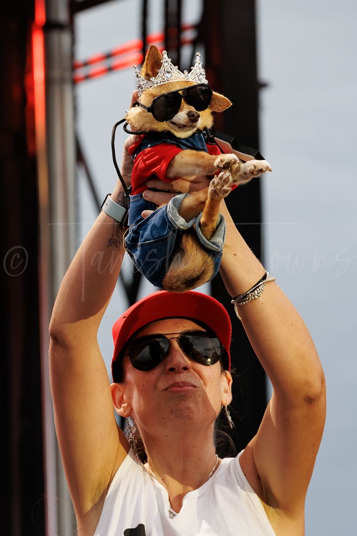 Woman in red cap holds up a dressed Chihuahua wearing sunglasses and a crown at an outdoor event.