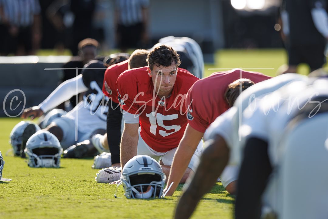 NFL player wearing number 15 red jersey does push-ups during Carolina Panthers training camp.