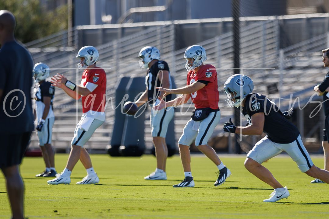 Football players in blue uniforms warming up on a sunny practice field during team training session.