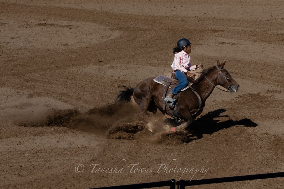 A horse and rider perform a dramatic sliding stop maneuver in a dusty arena during a reining competition.