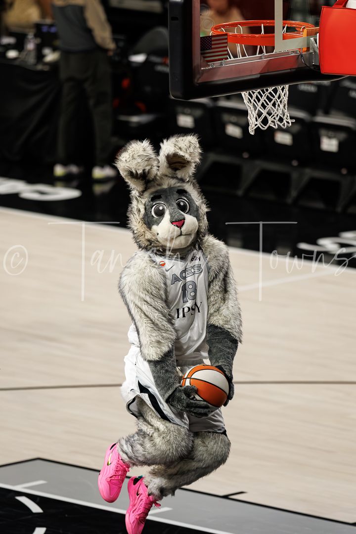 San Antonio Spurs mascot The Coyote dunks a basketball during an NBA game.