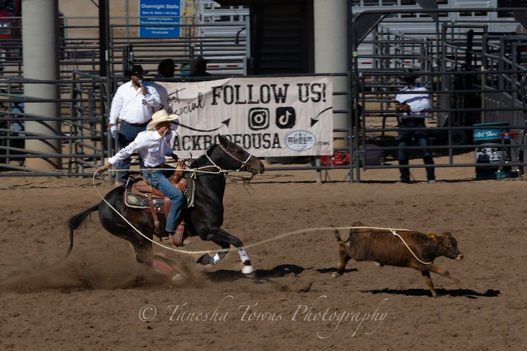 Bull rider attempts to stay mounted on bucking bull during intense rodeo competition.