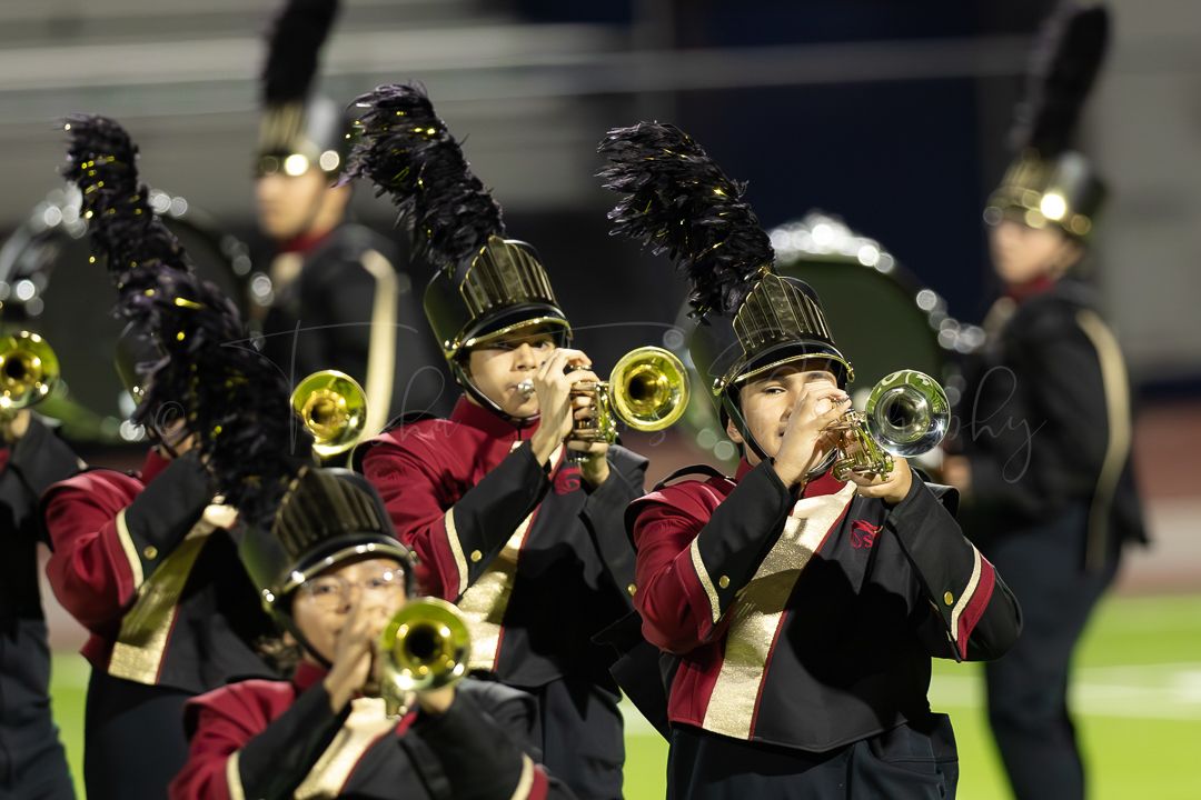 Brass section of marching band performing during nighttime show.