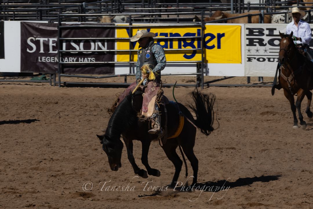A rodeo rider performs on a bucking bronco at a western competition with Stetson banner visible in background.