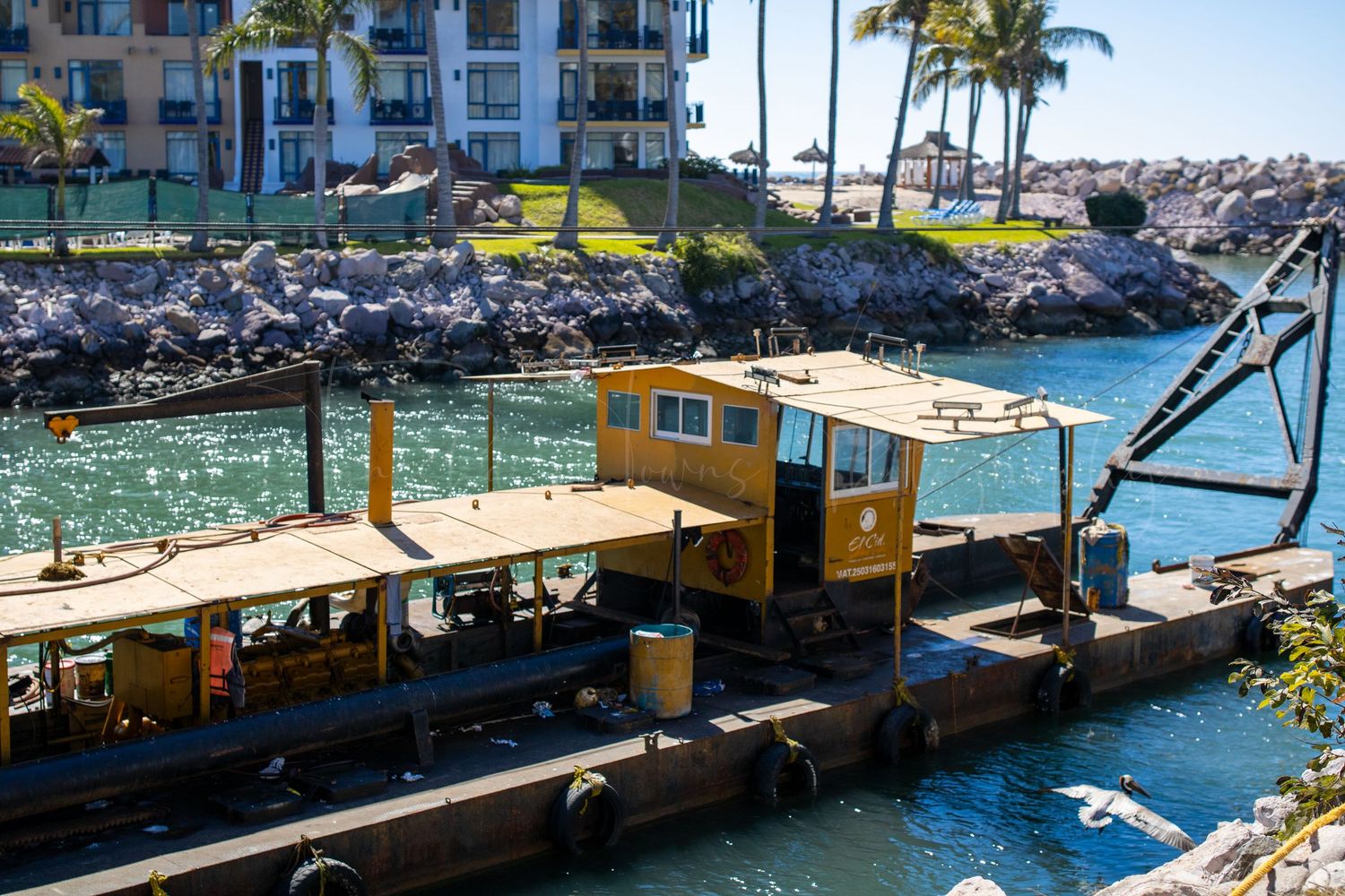 Scenic waterfront pier with palm trees and coastal buildings in tropical setting.