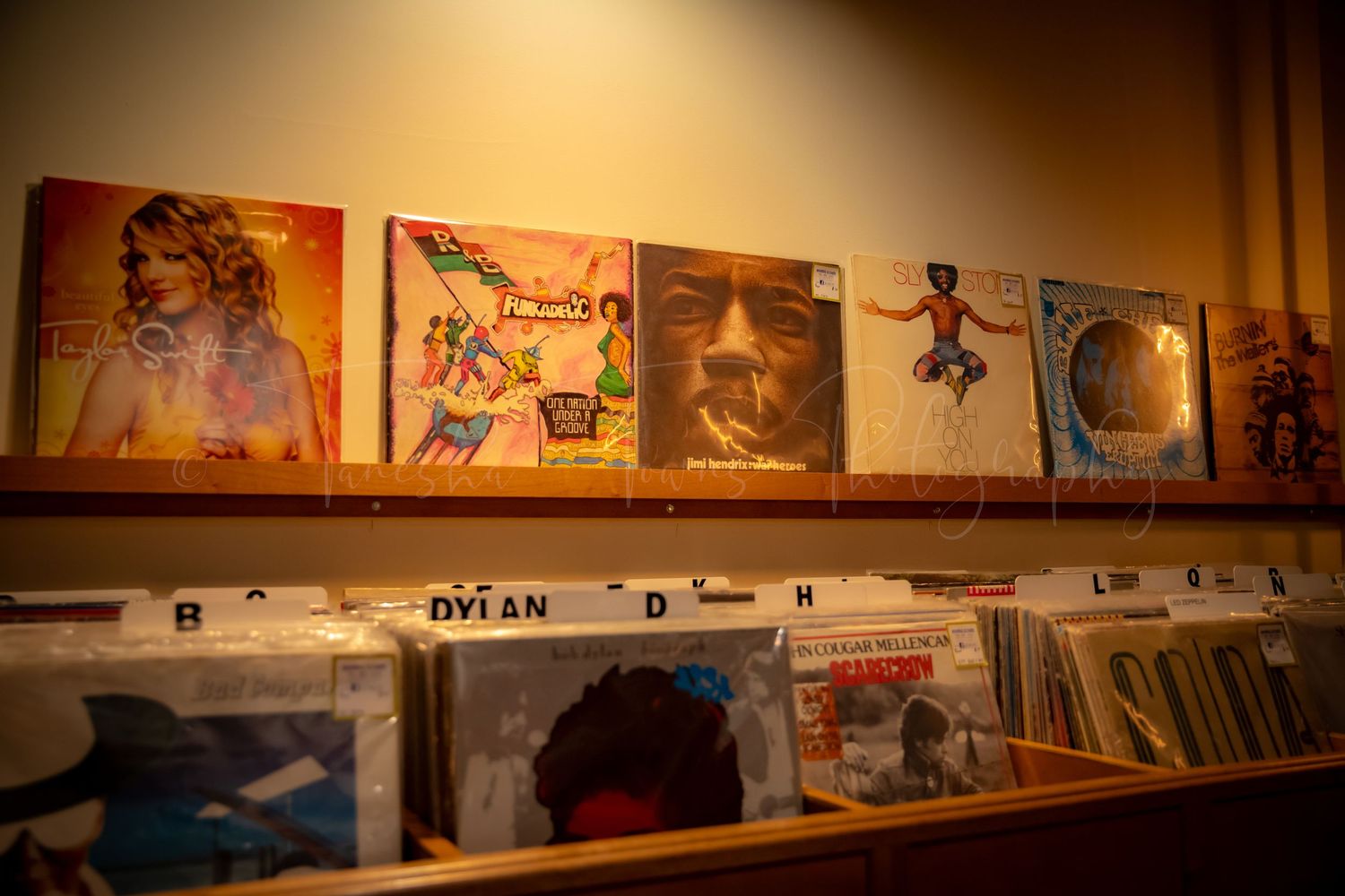Row of vintage album covers displayed on a warmly lit shelf.