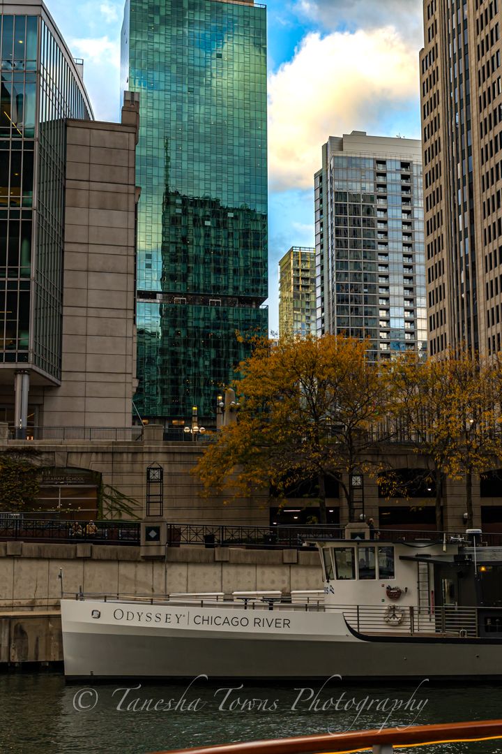 Glass office buildings and fall foliage line the Chicago River with boats docked along the riverwalk.