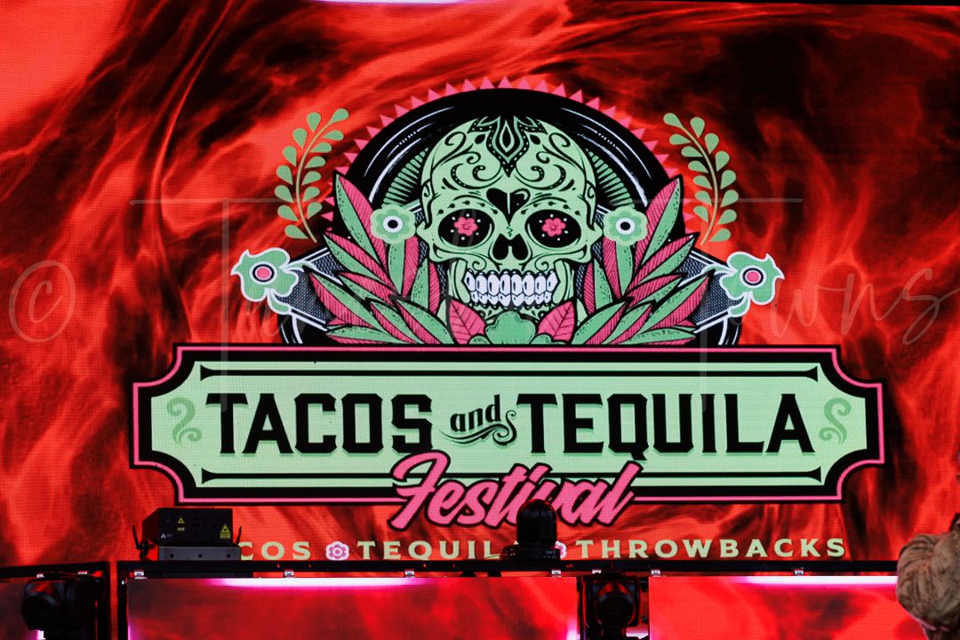 Tacos and Tequila Festival neon sign with sugar skull design on red flames background.