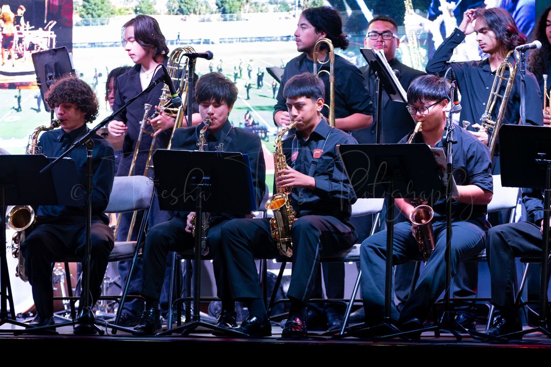 Orchestra members seated in rows performing with various instruments during a concert.