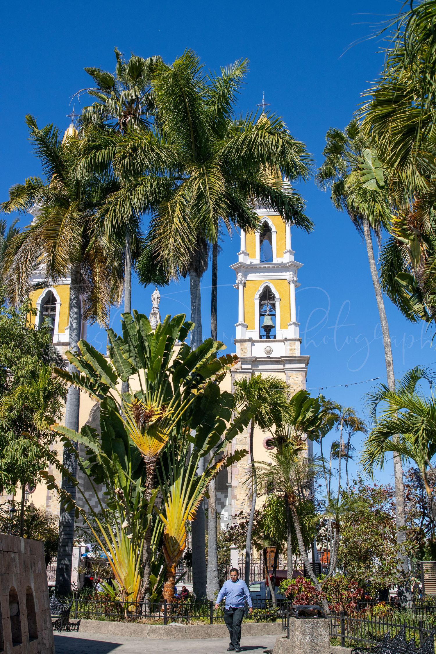 Yellow and white church towers rise above tropical palm trees against bright blue sky.