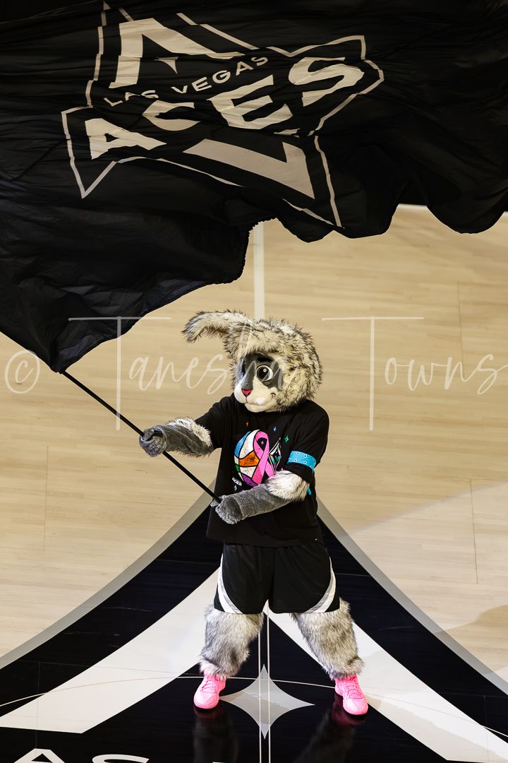 Las Vegas Aces mascot waves team flag on court wearing pink ribbon breast cancer awareness shirt.