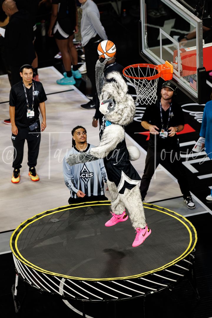 WNBA team mascot dunks on a trampoline during a halftime entertainment performance.