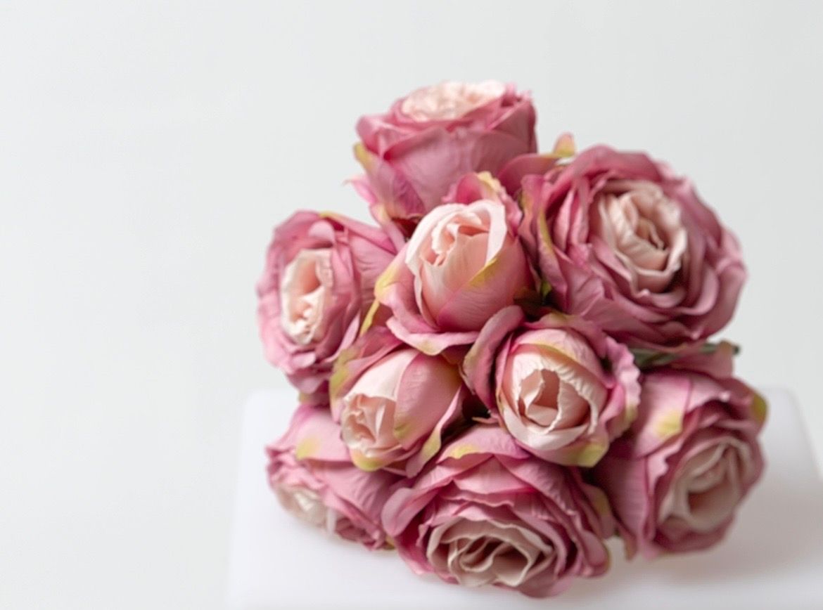 Pink dried roses arranged in a row showing various stages of decay and dryness against a white background.