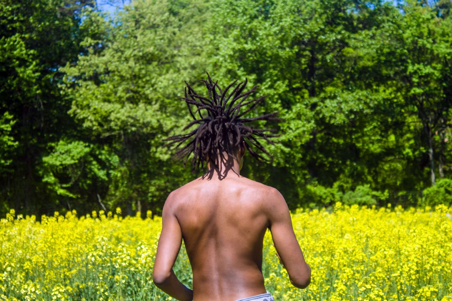 Person with locs standing shirtless with back to camera in vibrant yellow flower field with green trees.