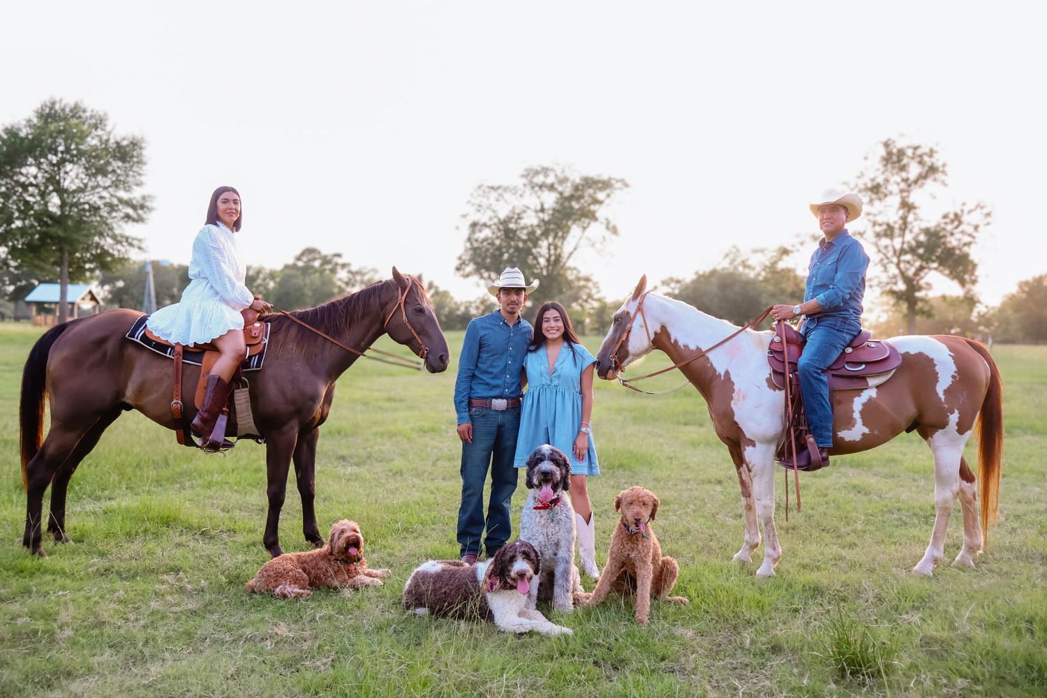 Group portrait with horses and dogs in pastoral field setting during sunset.