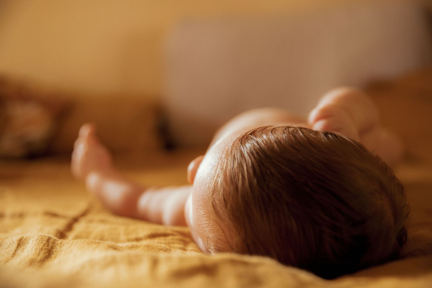 Newborn portraits.