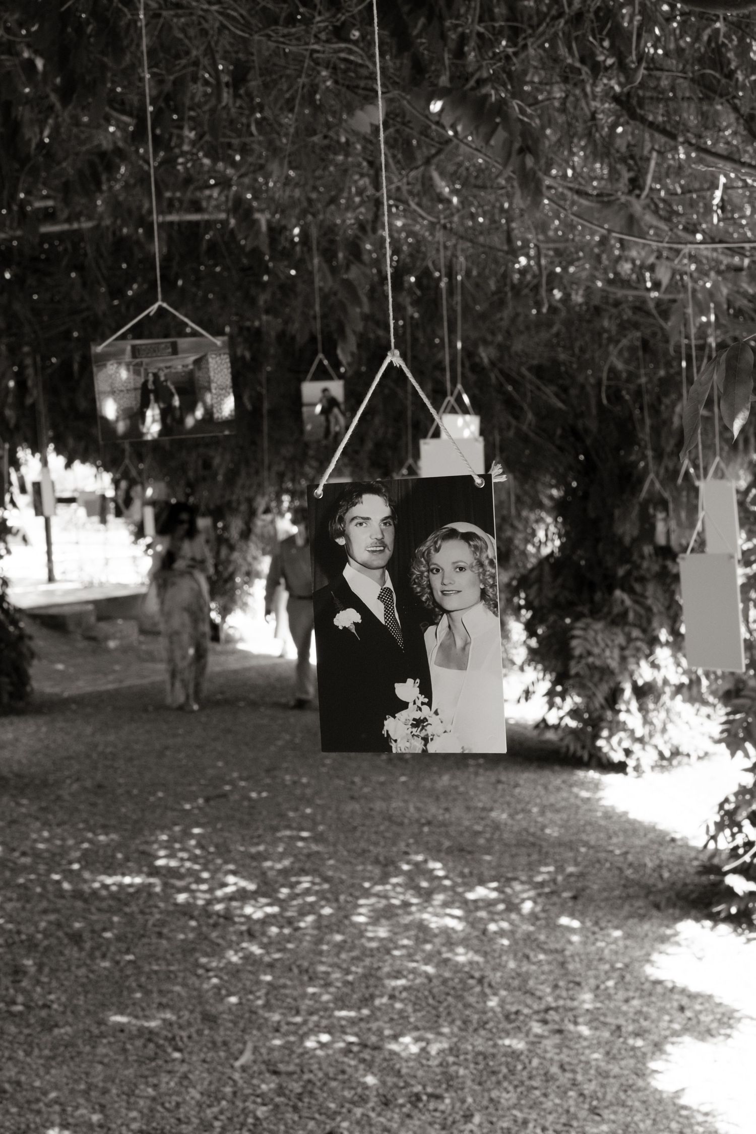 Black and white photo of wedding portraits hanging from trees along an outdoor pathway.