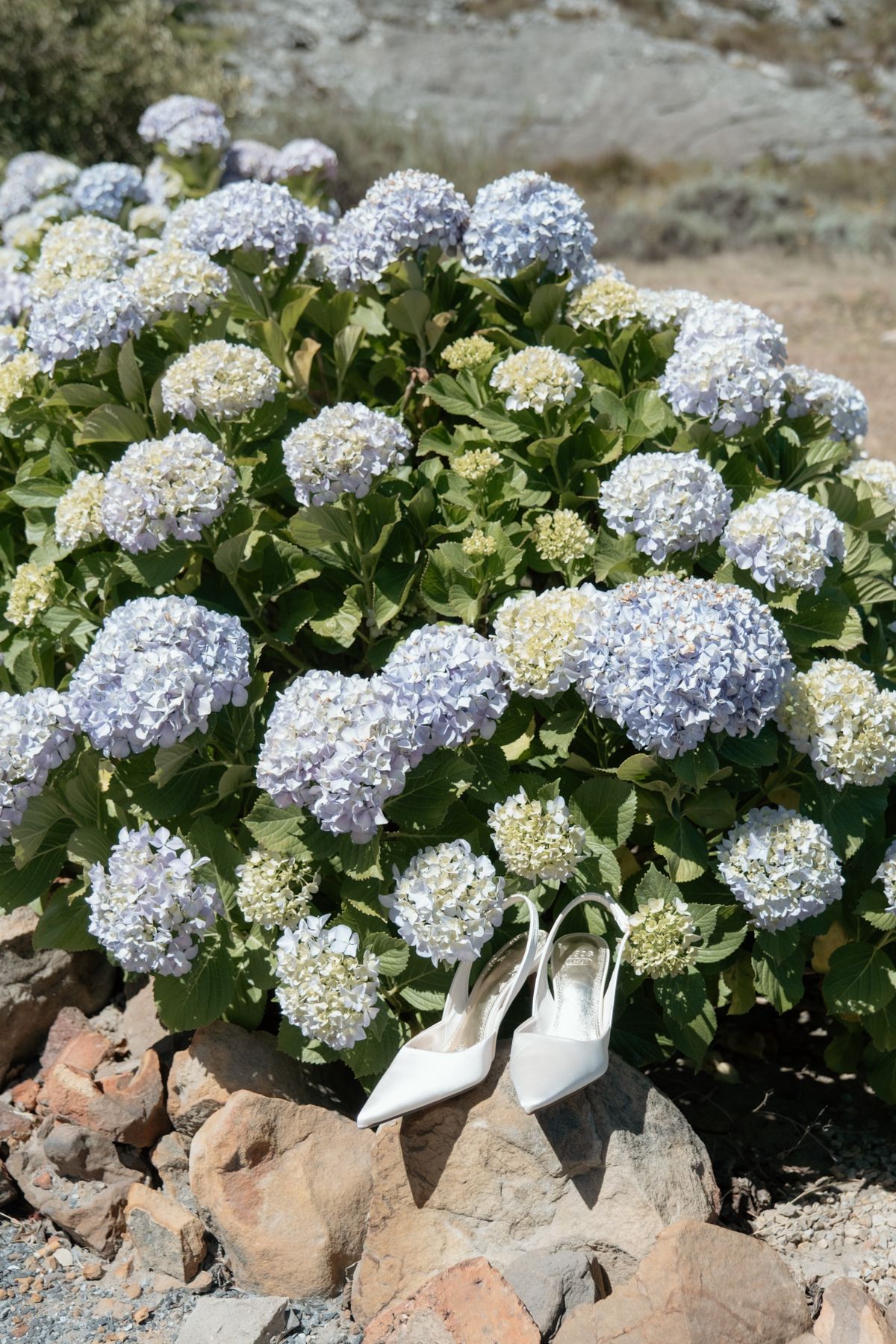 White bridal heels resting on rocks beside a blooming blue hydrangea bush outdoors.