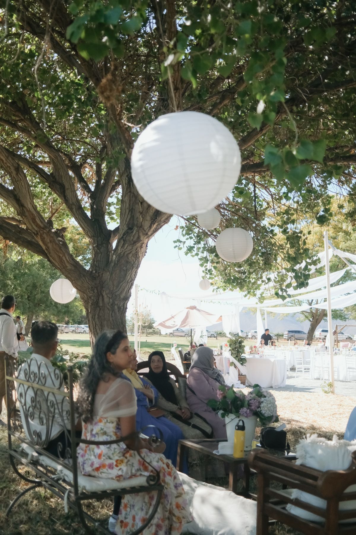 Wedding guests seated under tree decorated with white paper lanterns at outdoor reception.
