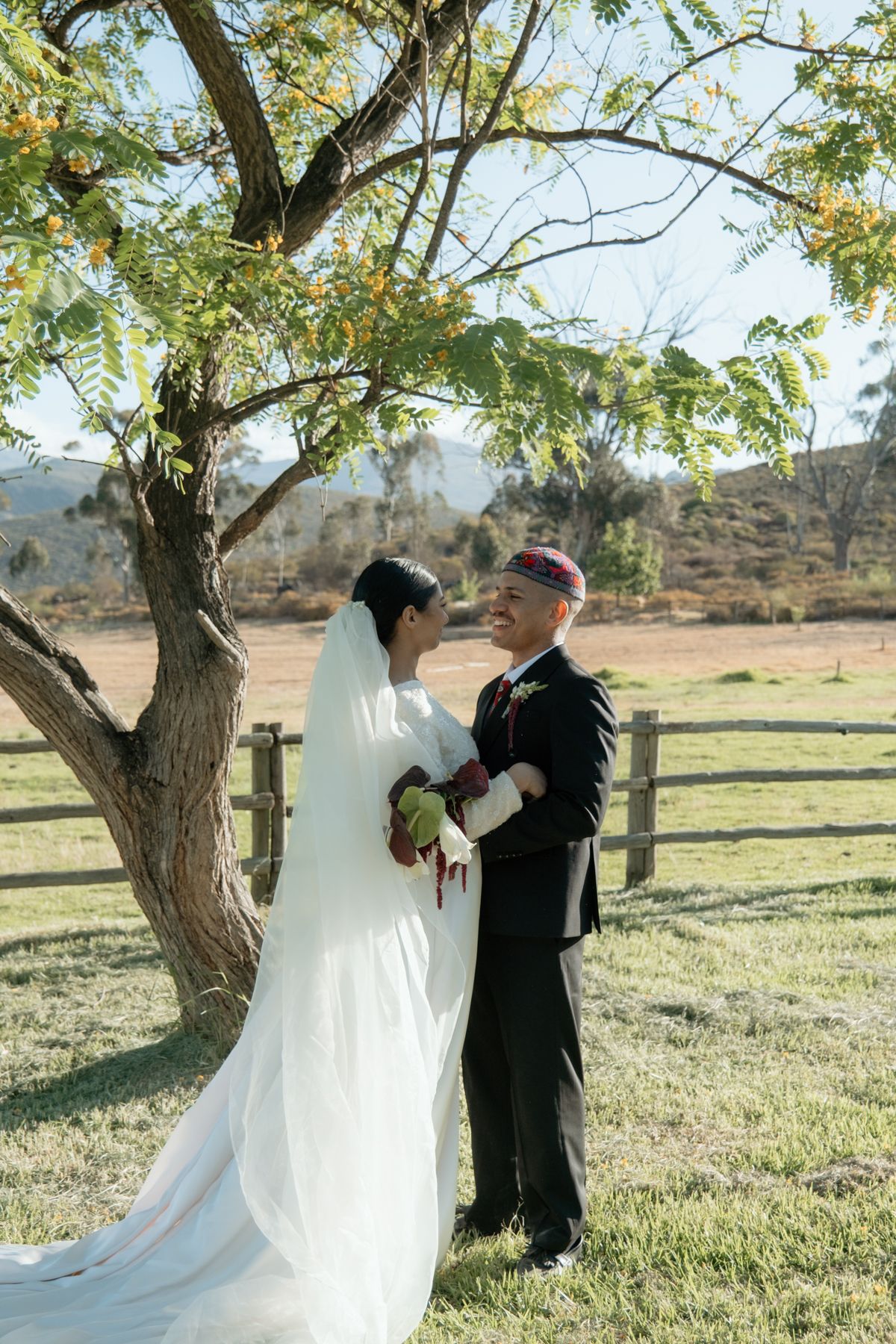 Bride and groom holding hands under tree at outdoor wedding, mountains visible in background.