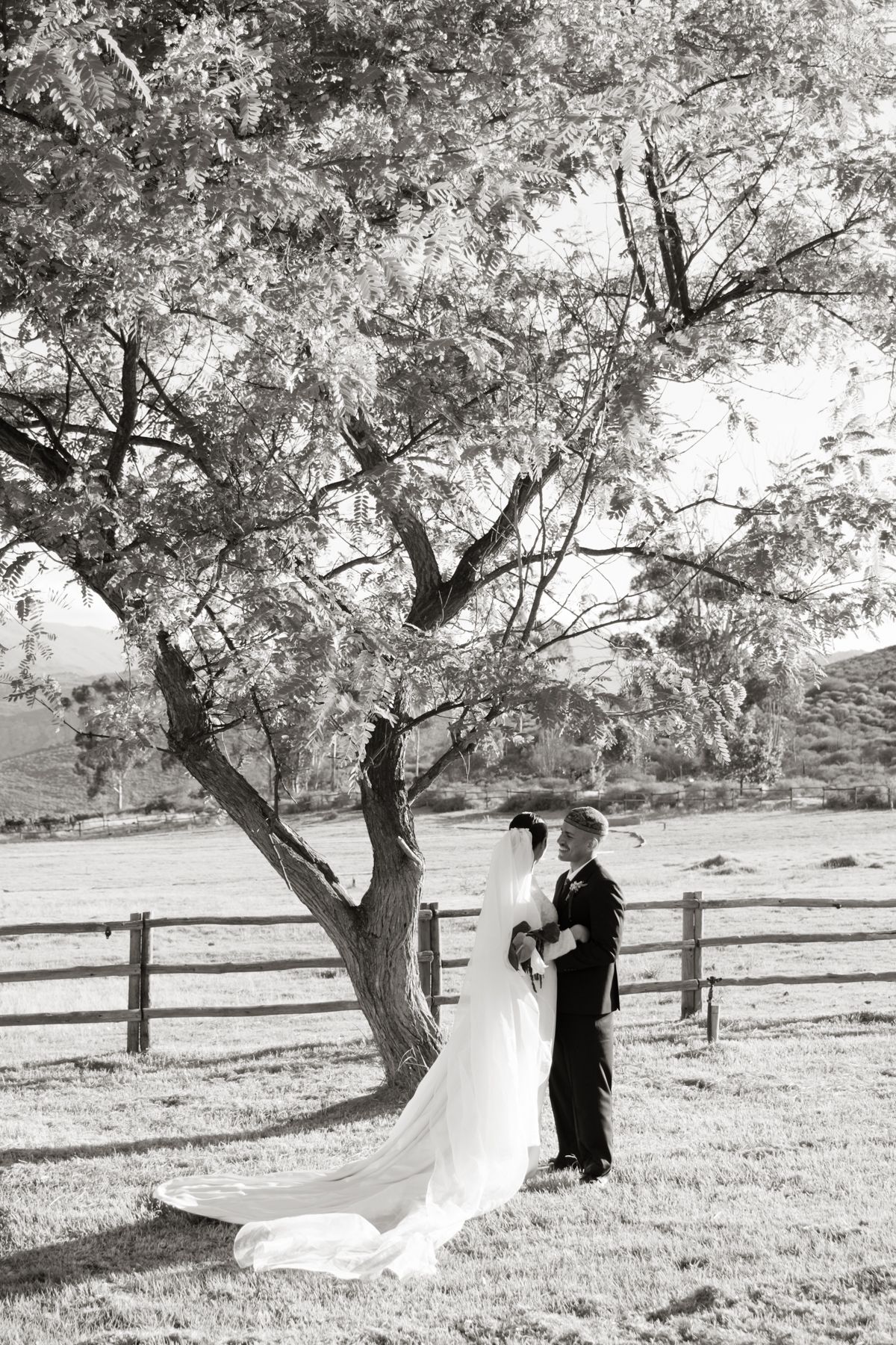 Bride and groom share a romantic moment under a tree in a black and white wedding photo.