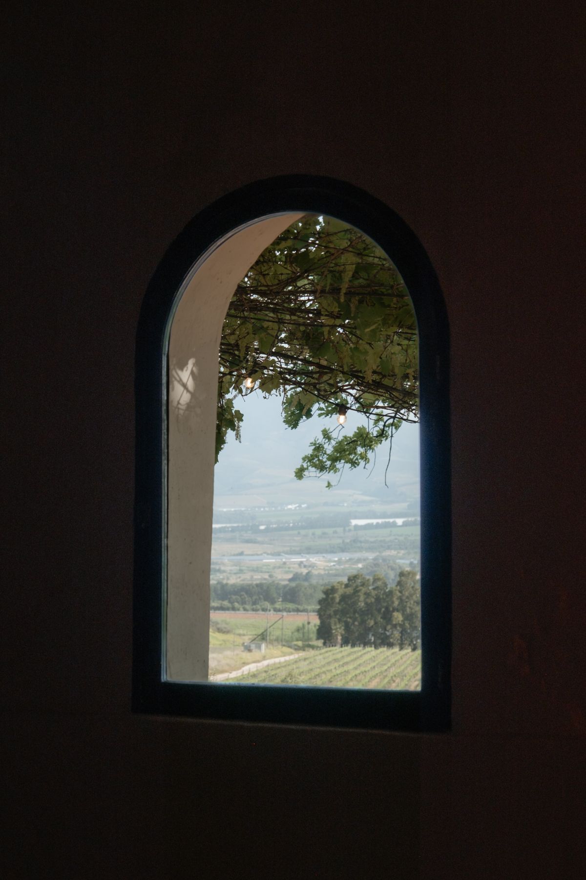Arched window frames a scenic vineyard valley landscape viewed from a dimly lit interior room.