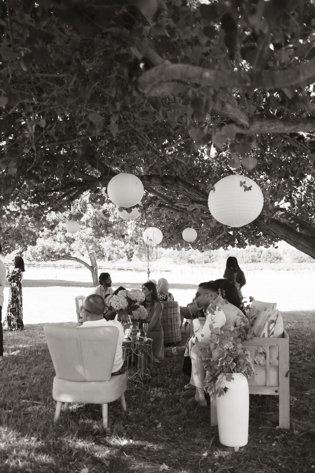 Black and white image of wedding guests seated under a tree decorated with hanging paper lanterns.