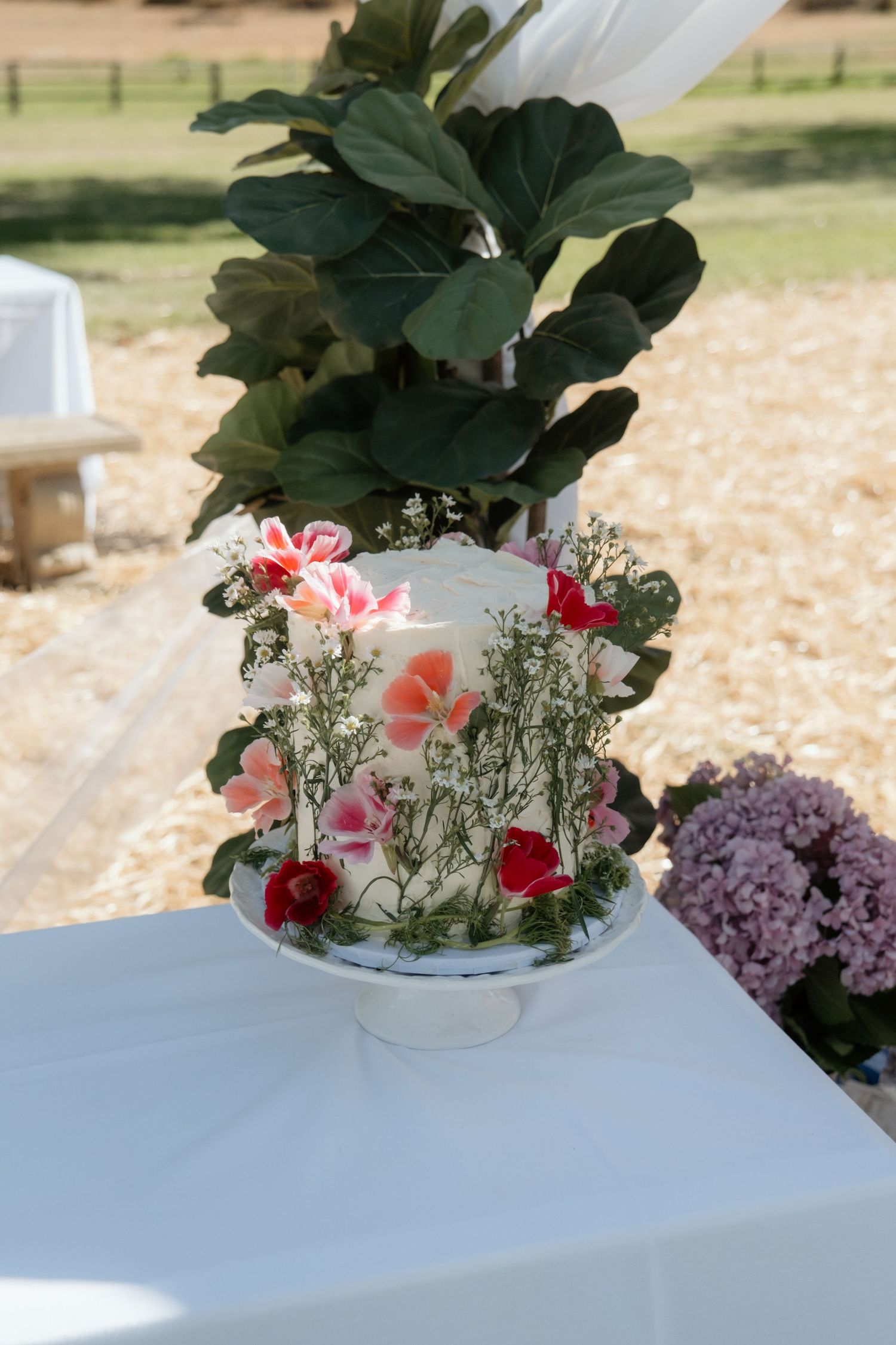 Elegant single-tier white wedding cake decorated with fresh pink and red flowers on outdoor table.