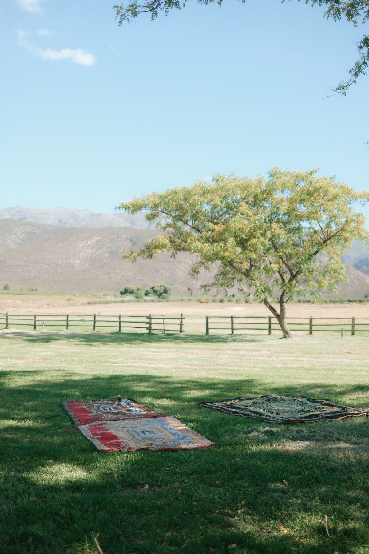 Two decorative rugs laid on green grass at an outdoor wedding venue with a tree and mountains.