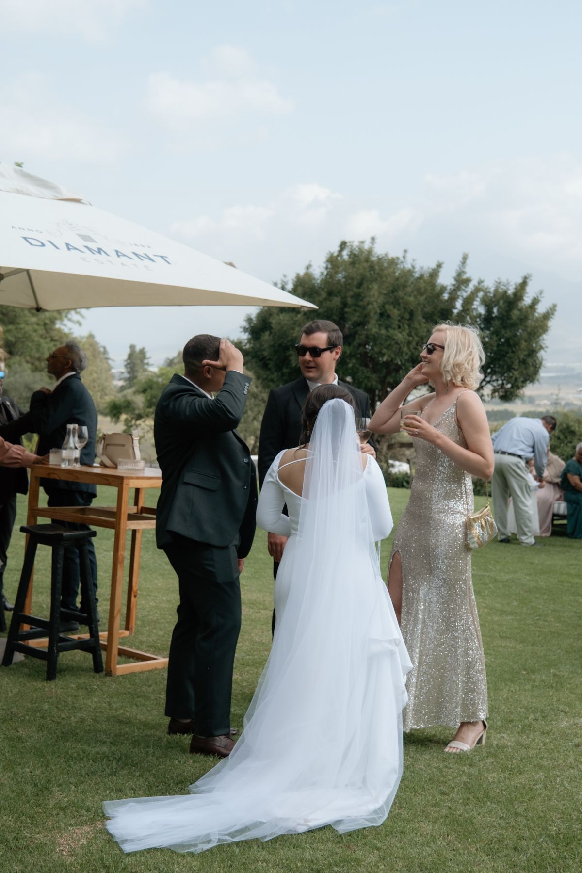 Bride and groom mingling with guests on a lawn during outdoor wedding cocktail reception.