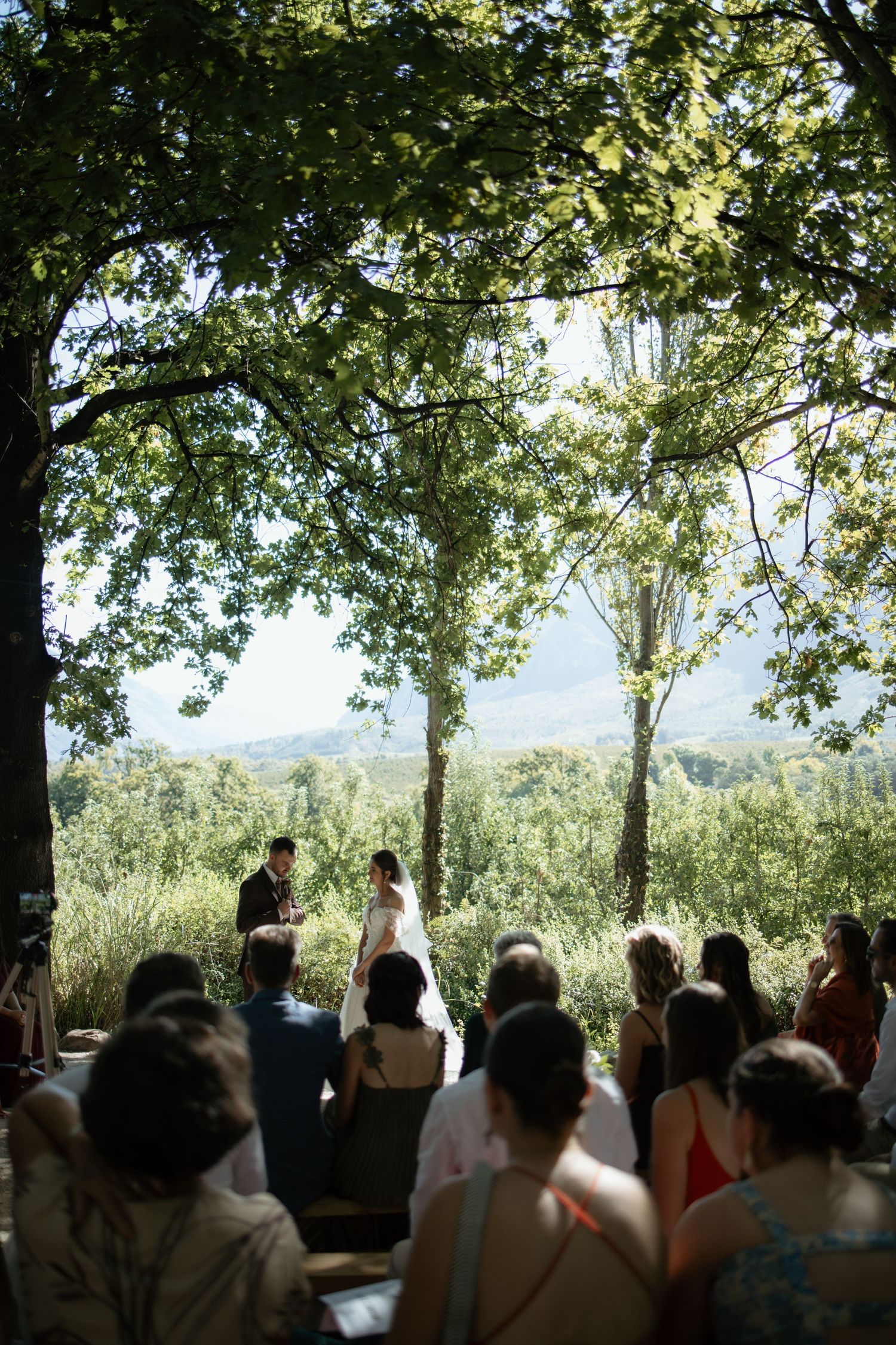 Wedding ceremony outdoors under lush green trees with guests seated watching couple exchange vows against mountain backdrop.
