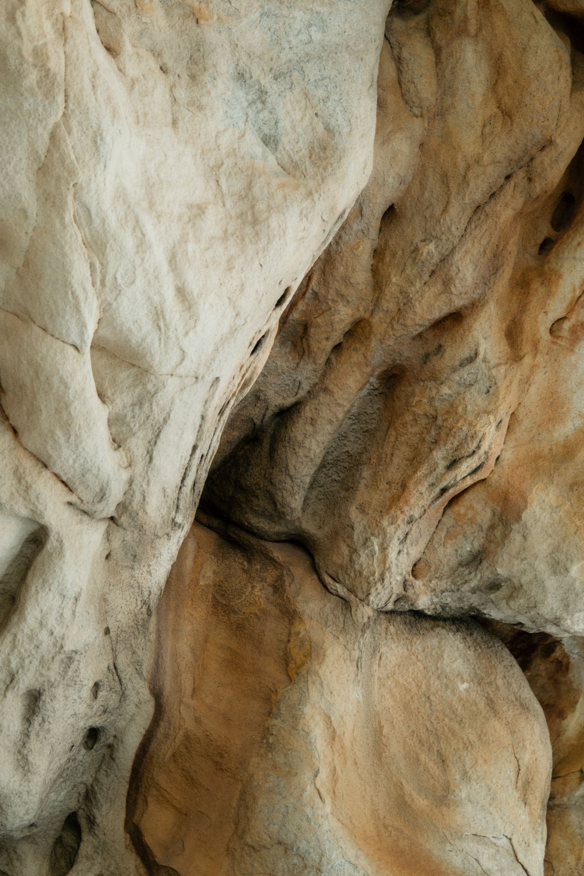 Close-up of smooth natural limestone rock formation with beige and gray tones showing organic texture and curves.