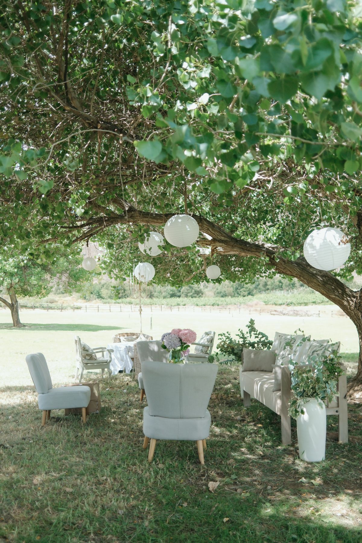Romantic outdoor wedding seating area with white paper lanterns hanging from large tree over elegant chairs.