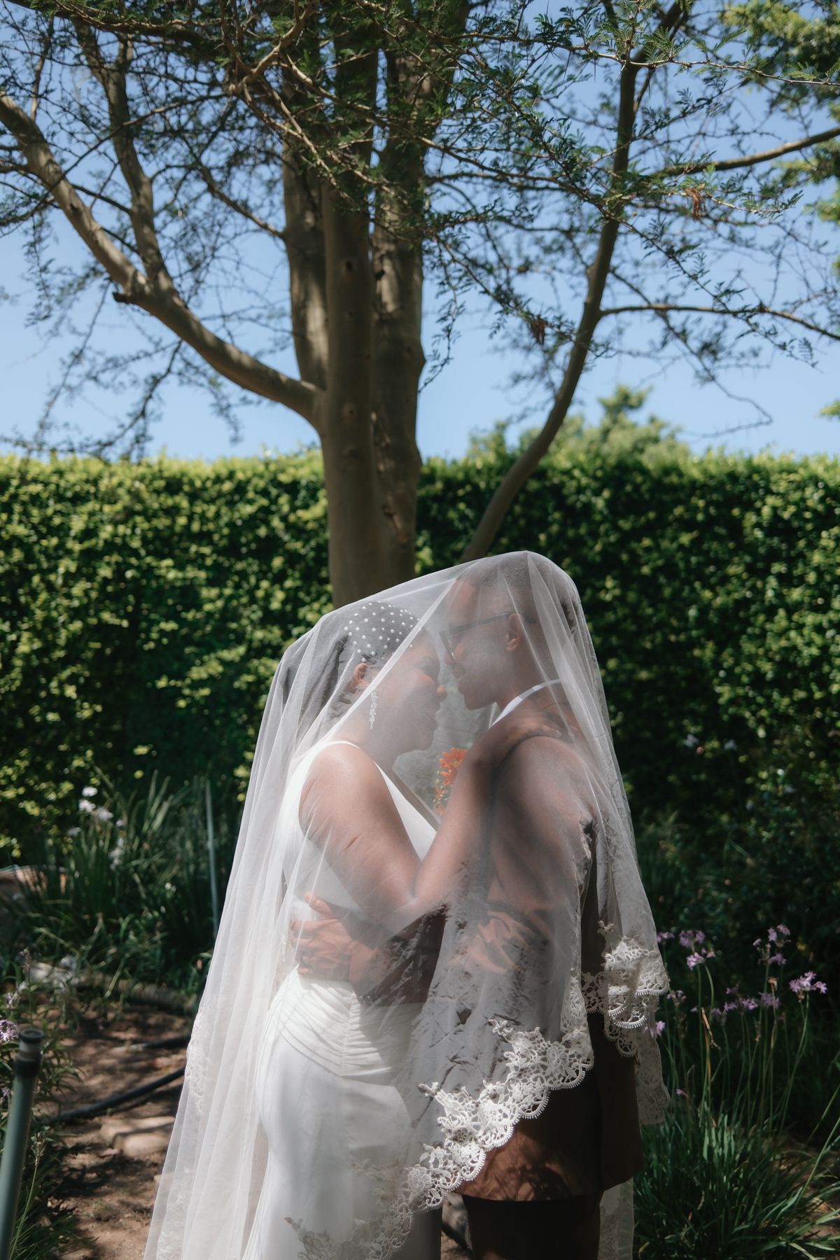 Wedding couple kissing under flowing lace bridal veil in lush garden setting with green hedges and trees.