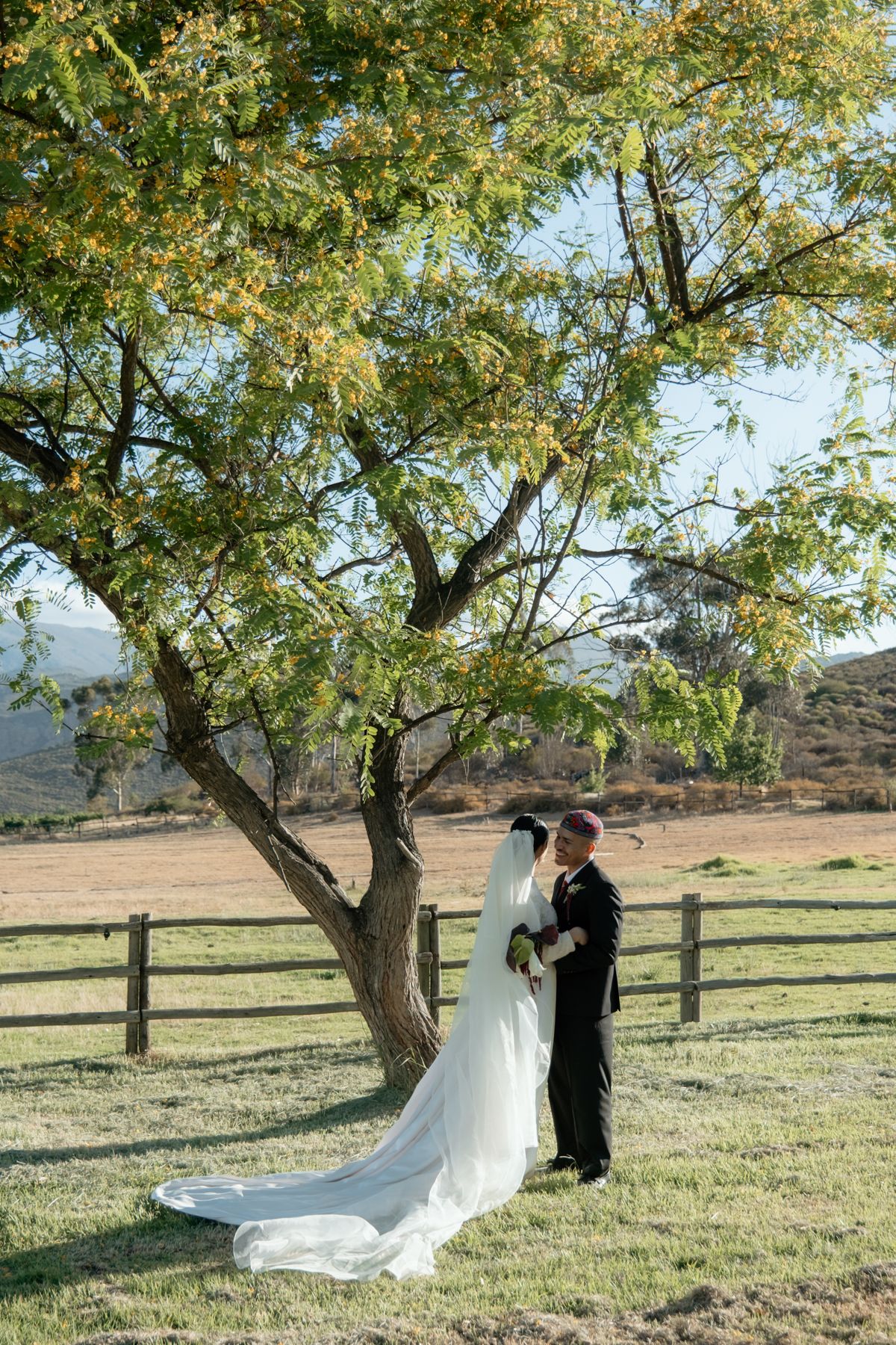 Bride and groom sharing a tender moment under a large green tree at their outdoor farm wedding venue.