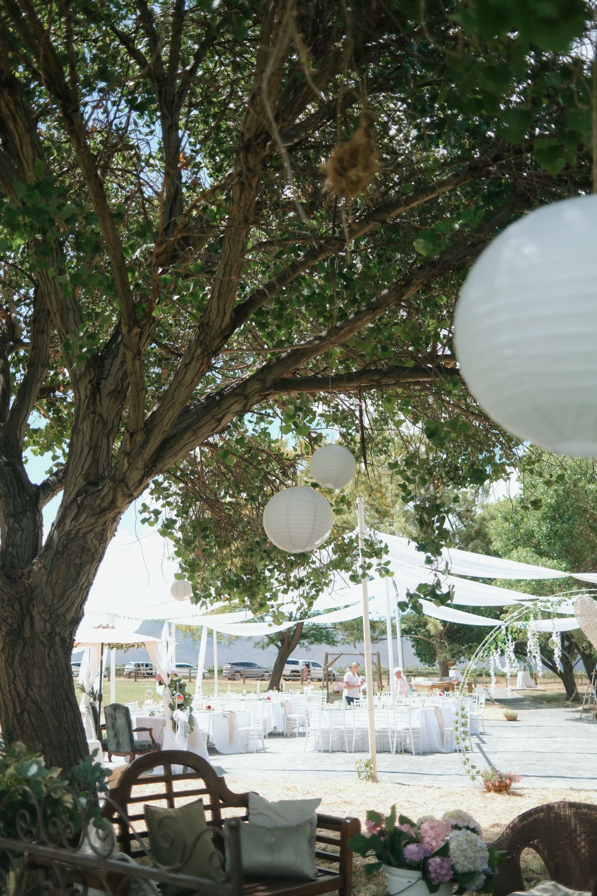 Outdoor wedding reception venue decorated with white paper lanterns hanging from a large tree.