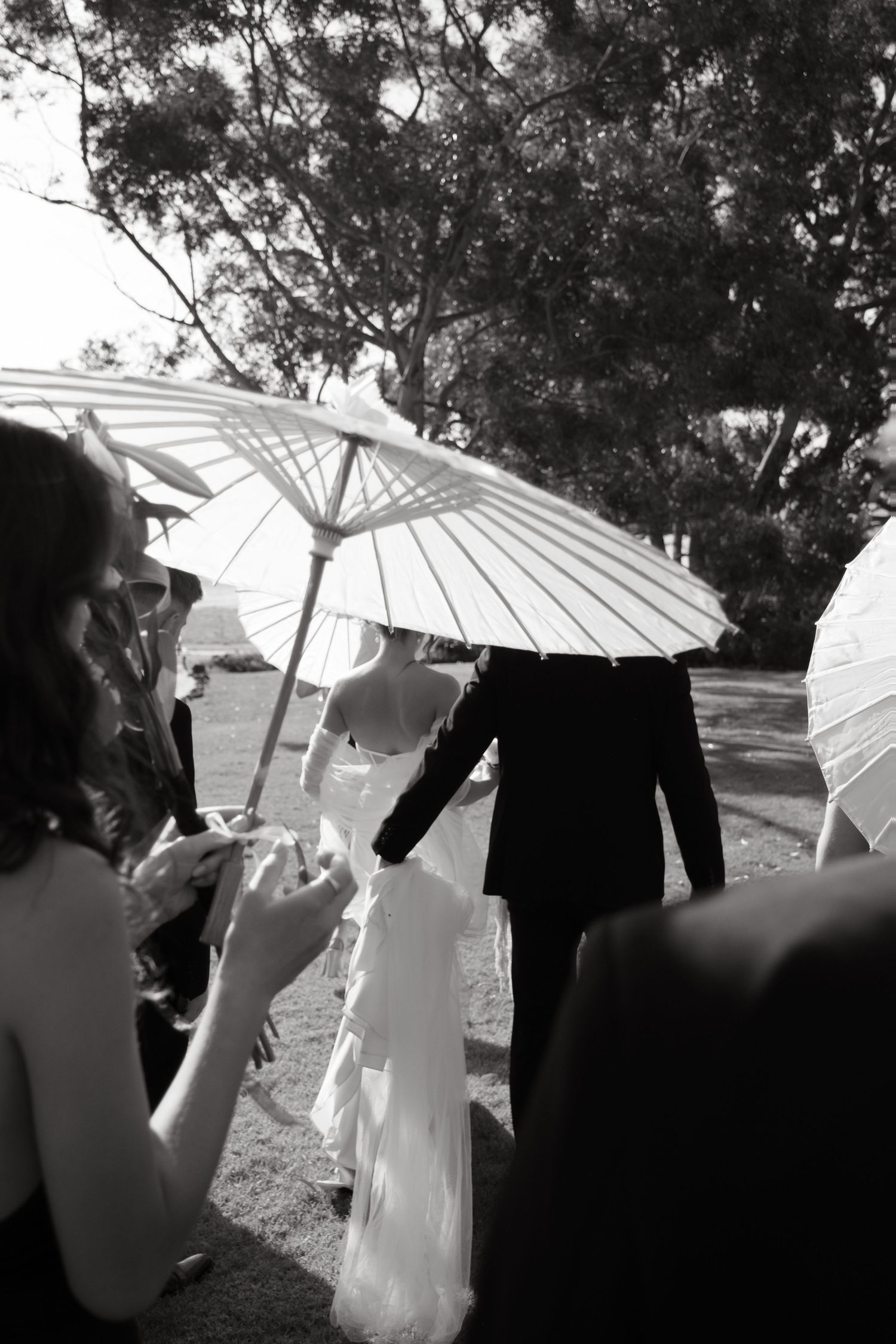 Wedding guests holding white parasols during outdoor ceremony.